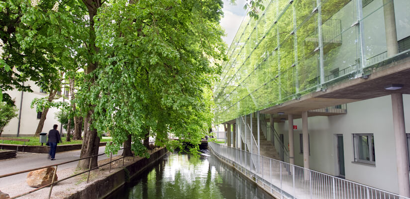 Am-Zwinger - Architektur DELTA